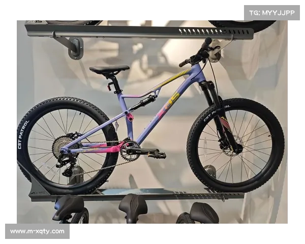 喜德盛悍马系列软尾车架减震技术实地测评与创新应用分析