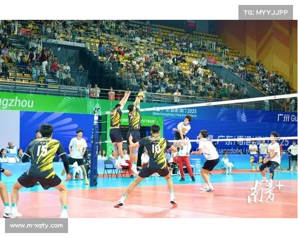 排球赛事承办要求明确场馆与驻地车程不超15分钟